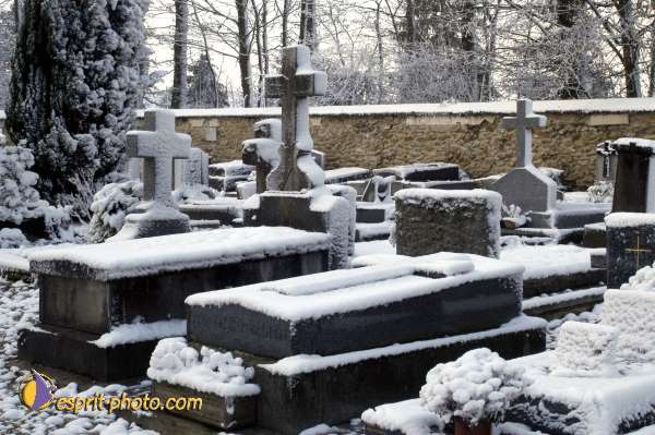 Nom de l'image : EG-R-242 — Description :