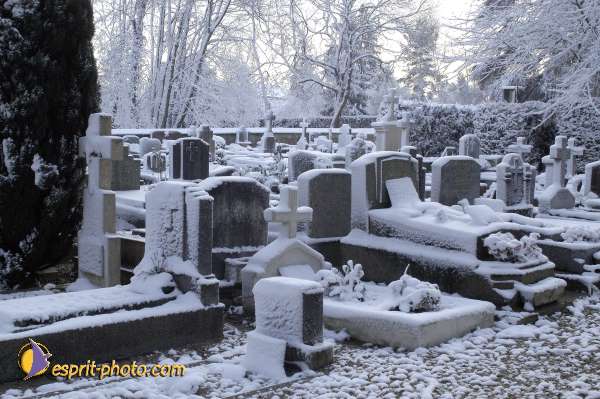 Nom de l'image : EG-R-244 — Description :