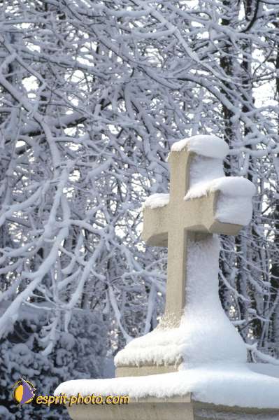 Nom de l'image : EG-R-246 — Description :