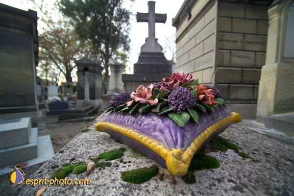 Nom de l'image : D1192G003-1 — Description :  Cimetière Père Lachaise