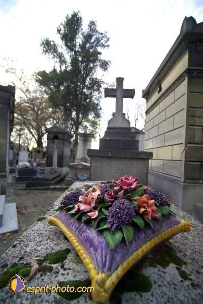 Nom de l'image : D1192G004-1 — Description :  Cimetière Père Lachaise