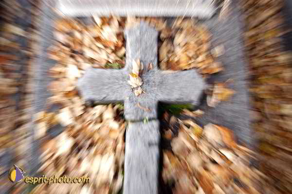 Nom de l'image : D1194058-1 — Description :  Cimetière Père Lachaise