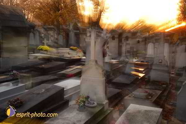 Nom de l'image : D1194106-2 — Description :  Cimetière Père Lachaise