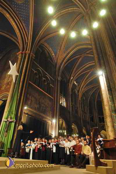 Nom de l'image : D1204418-1 — Description :  Unité Chrétienne à St Germain de Près, Paris 6e