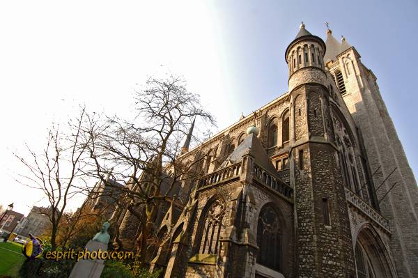 Nom de l'image : D2210624_1 — Description :