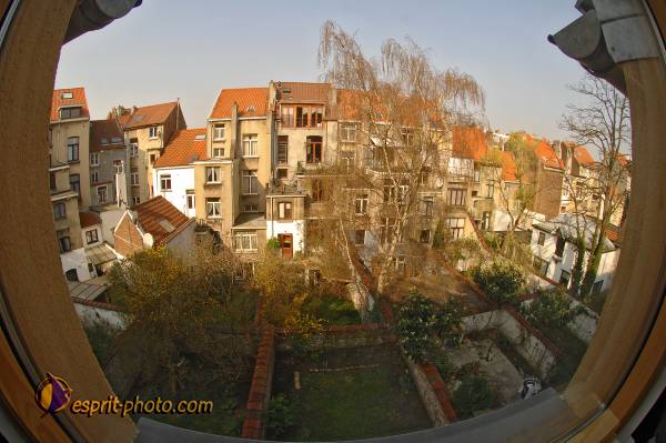 Nom de l'image : D2210726_1 — Description :