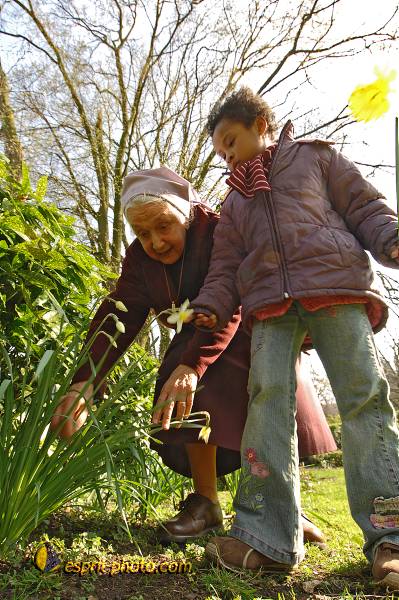 Nom de l'image : D2210259_1 — Description :