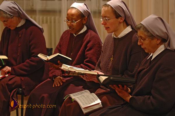 Nom de l'image : D2209288_1 — Description :