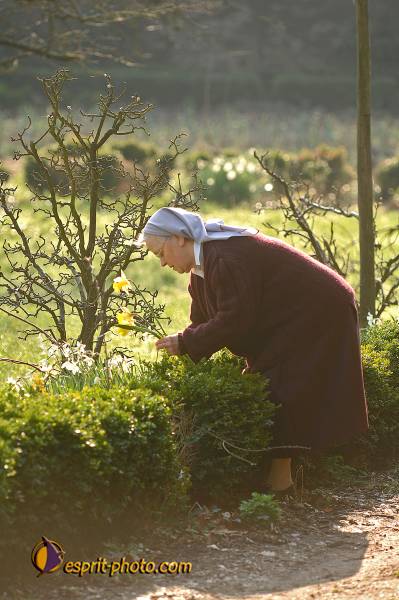 Nom de l'image : D2209743_1 — Description :