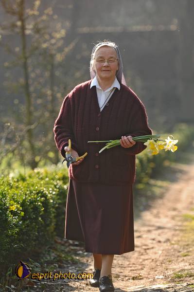 Nom de l'image : D2209752_1 — Description :