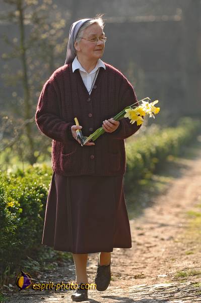 Nom de l'image : D2209755_1 — Description :