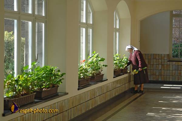 Nom de l'image : D2209820_1 — Description :