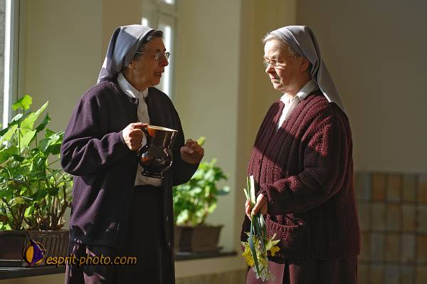 Nom de l'image : D2209842_1 — Description :