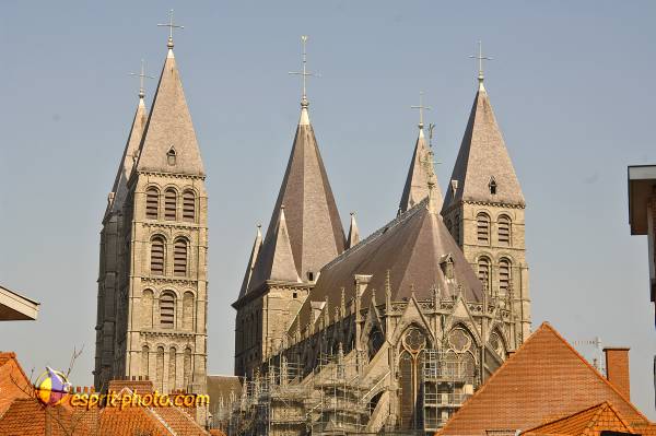 Nom de l'image : D2209893_1 — Description :