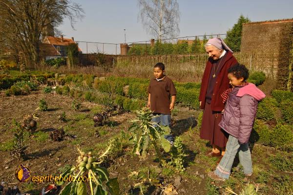 Nom de l'image : D2210234_1 — Description :