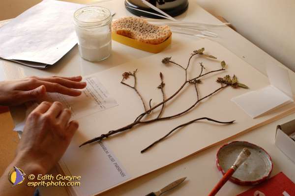 Nom de l'image : E00005067-01 — Description :