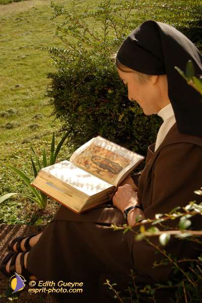 Nom de l'image : E00010071-01 — Description :