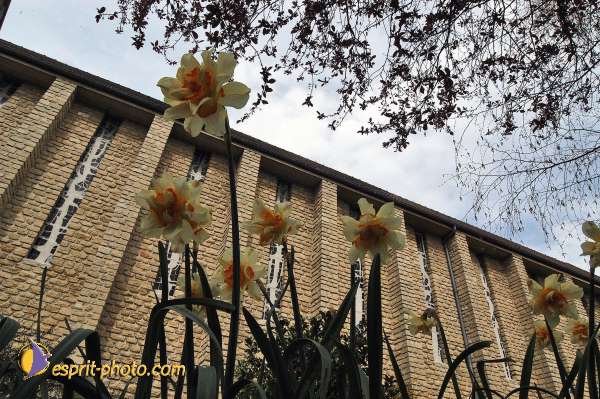 Nom de l'image : E00037609-1 — Description :