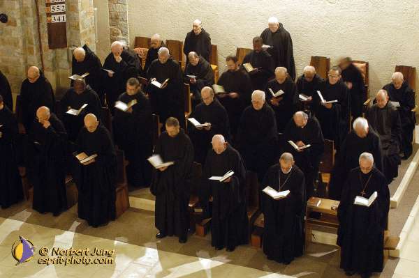 Nom de l'image : D1088655-01 — Description :