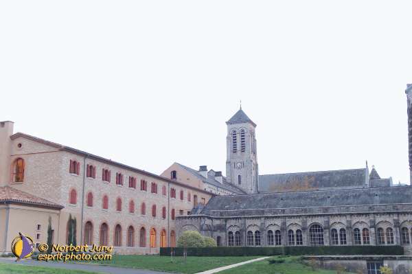 Nom de l'image : D1089829-nef — Description :