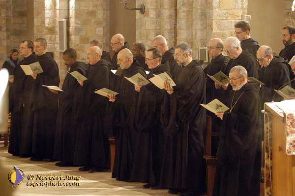 Nom de l'image : D1089875-01 — Description :