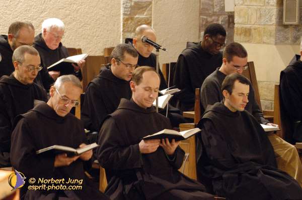 Nom de l'image : D1091068-01 — Description :