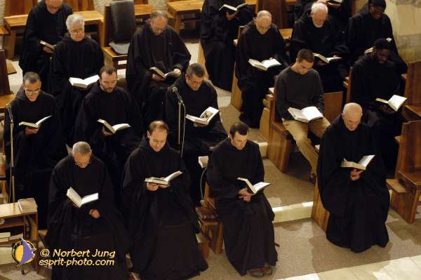 Nom de l'image : D1091387-01 — Description :