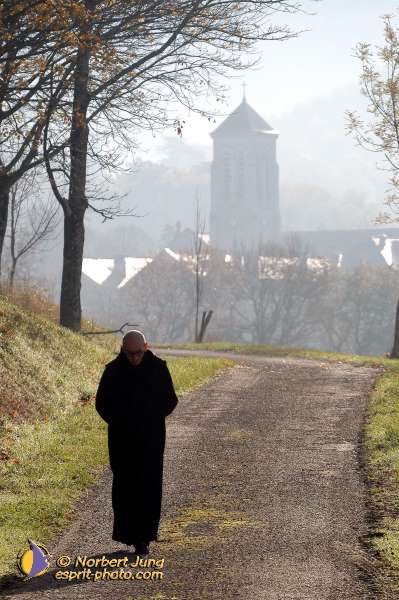 Nom de l'image : D1092870-01 — Description :