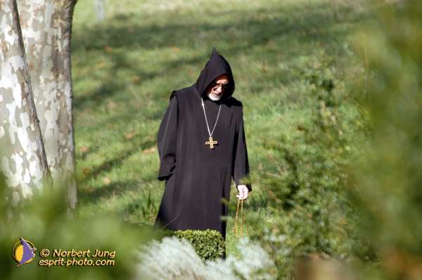 Nom de l'image : D1093176-01 — Description :