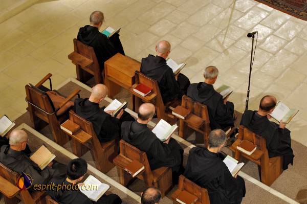 Nom de l'image : D2239804_1 — Description :