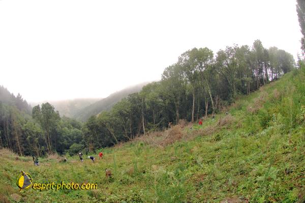 Nom de l'image : D2239986_1 — Description :