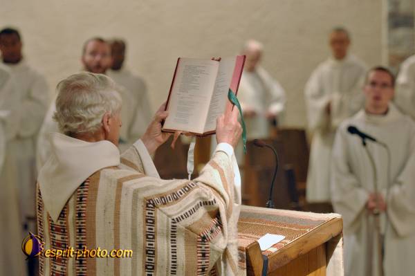 Nom de l'image : D2240220_1 — Description :