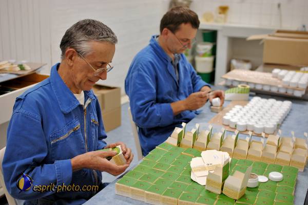 Nom de l'image : D2240618_1 — Description :