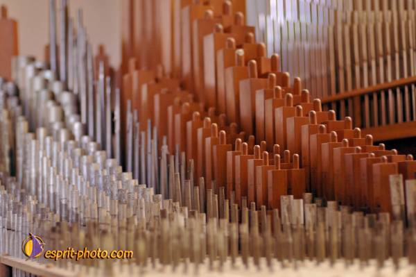 Nom de l'image : D2241097_1 — Description :