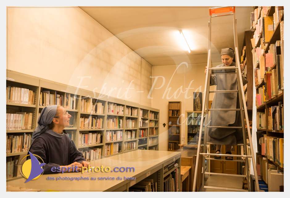 Nom de l'image : D8e041317_(c)esprit-photo.com — Description :