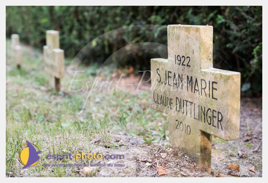 Nom de l'image : D8e041566_(c)esprit-photo.com — Description :