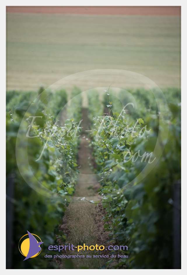 Nom de l'image : D8e041856_(c)esprit-photo.com — Description :