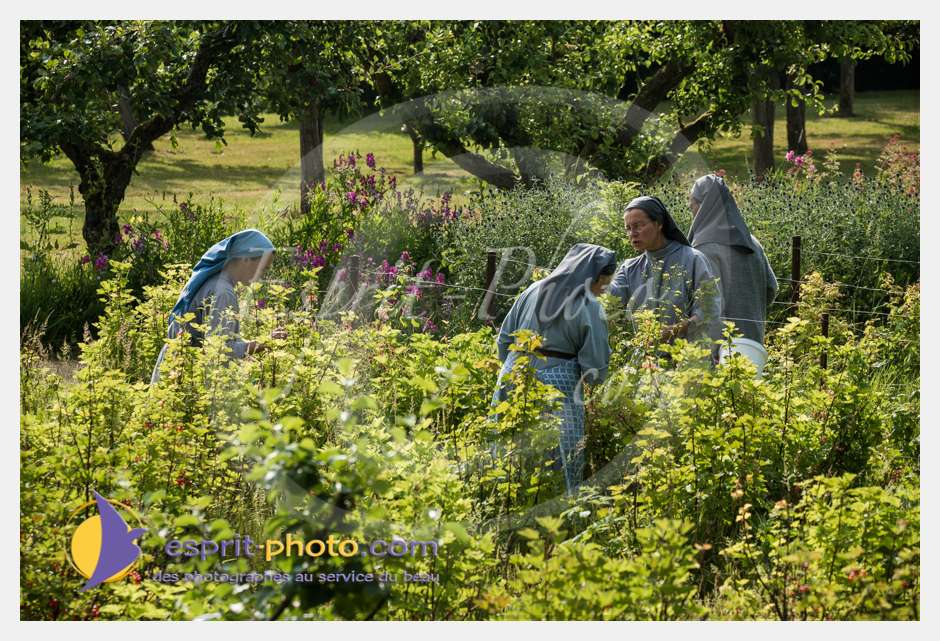 Nom de l'image : D8e042028_(c)esprit-photo.com — Description :