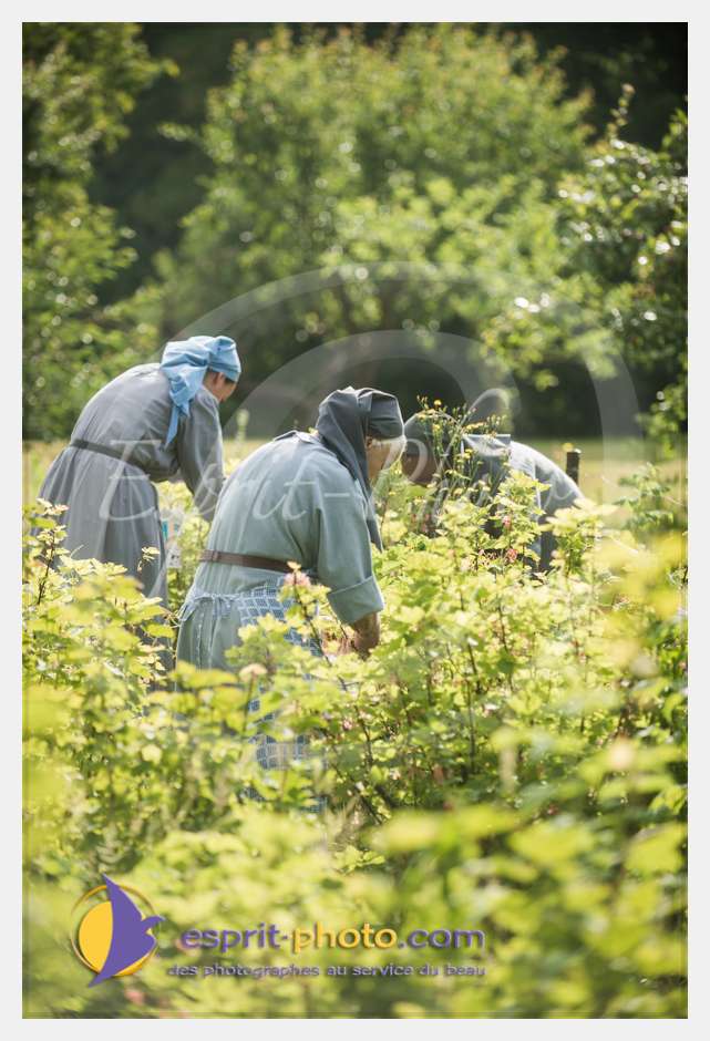 Nom de l'image : D8e042044_(c)esprit-photo.com — Description :