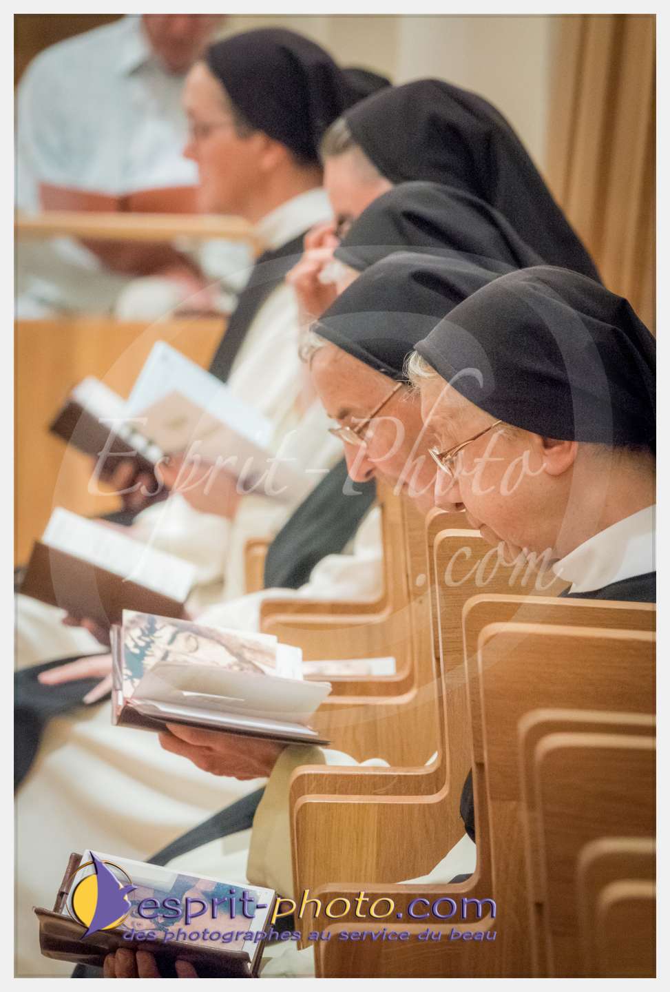 Nom de l'image : 021_S1086621_c_PhotoGraphiePro — Description :  S1086621