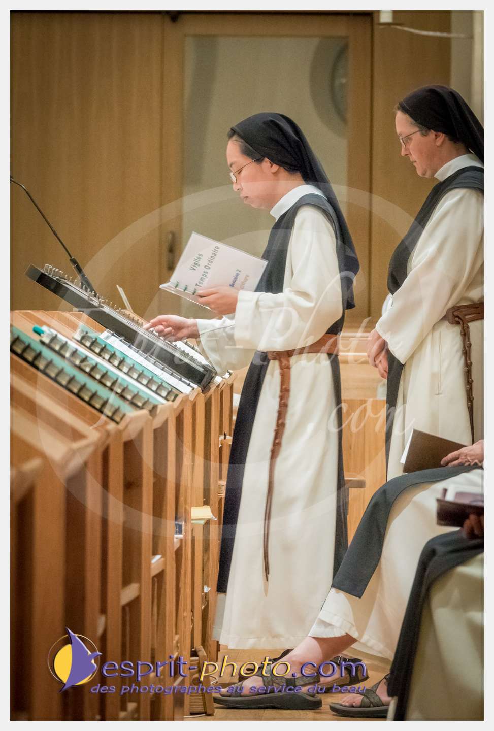 Nom de l'image : 023_S1086638_c_PhotoGraphiePro — Description :  S1086638