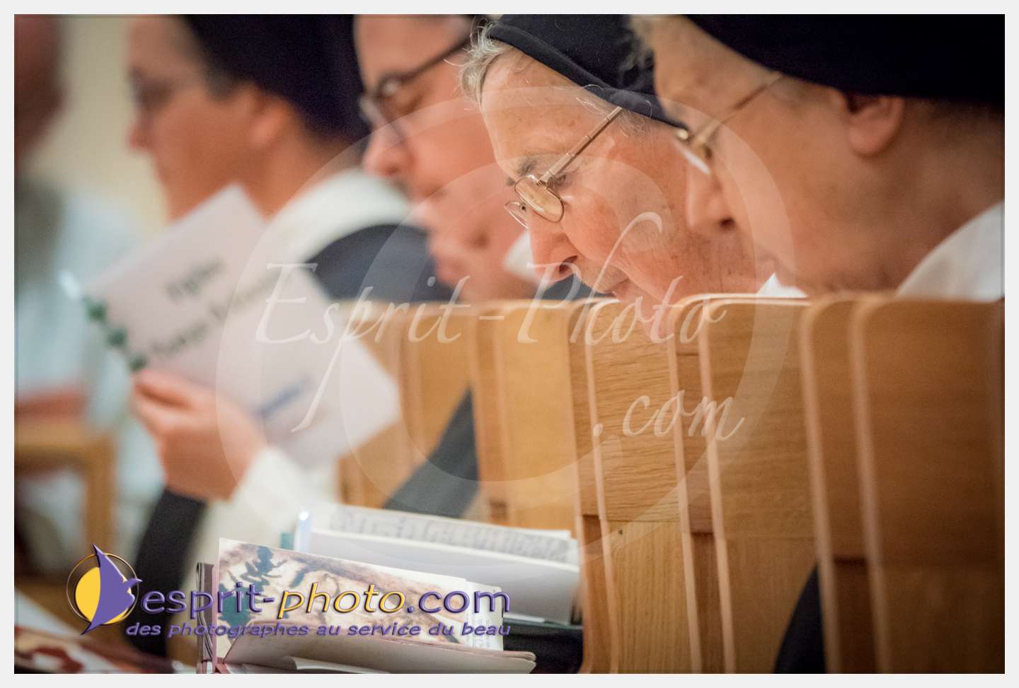 Nom de l'image : 025_S1086647_c_PhotoGraphiePro — Description :  S1086647