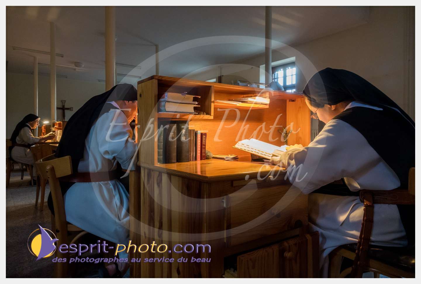 Nom de l'image : 088_S1086782_c_PhotoGraphiePro — Description :  S1086782