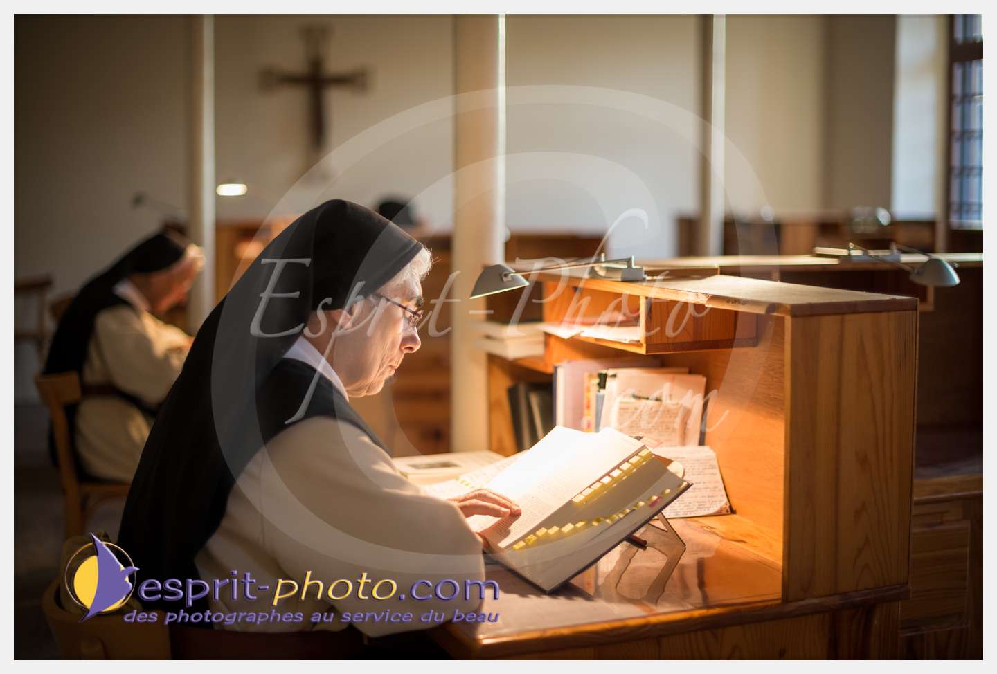 Nom de l'image : 094_D8e140634_c_PhotoGraphiePro — Description :  D8e140634