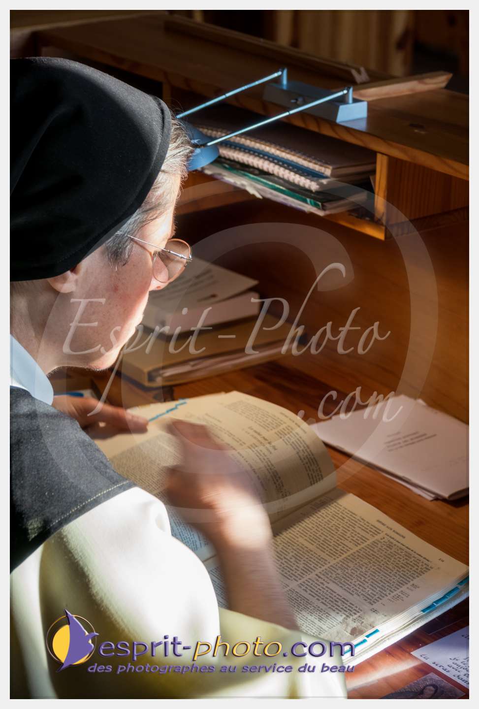 Nom de l'image : 095_S1086791_c_PhotoGraphiePro — Description :  S1086791