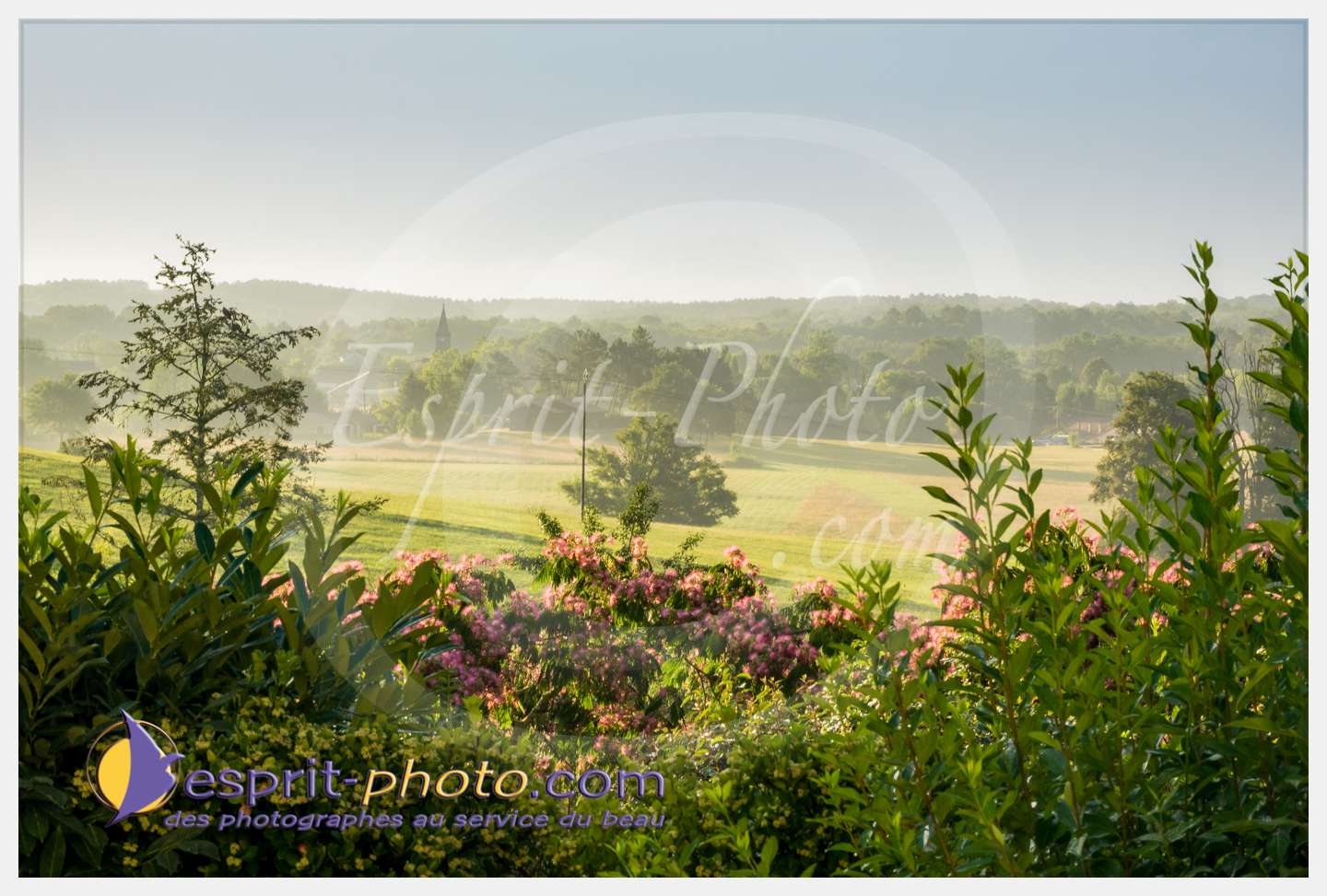 Nom de l'image : 098_S1086797_c_PhotoGraphiePro — Description :  S1086797