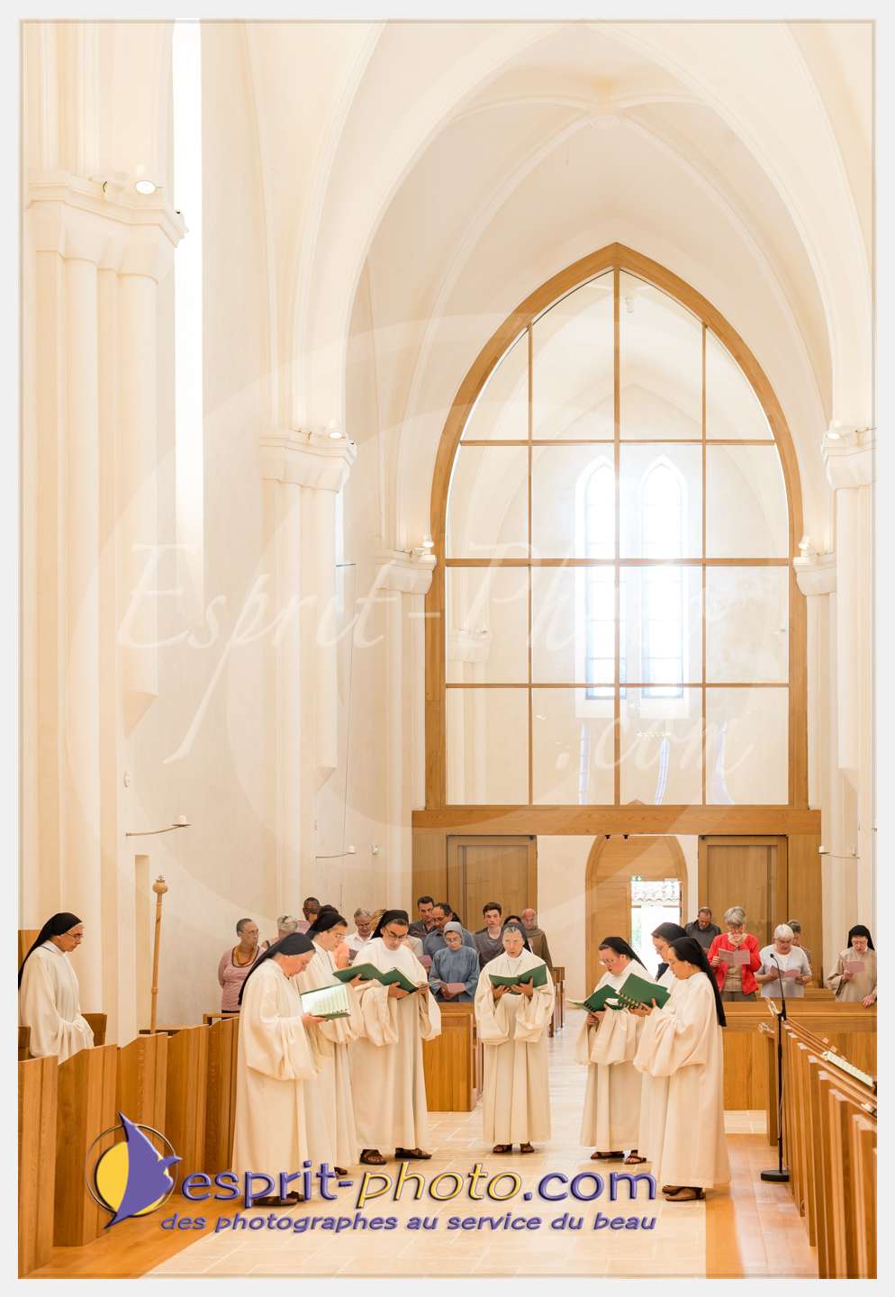 Nom de l'image : 101_D8e140674_c_PhotoGraphiePro — Description :  D8e140674