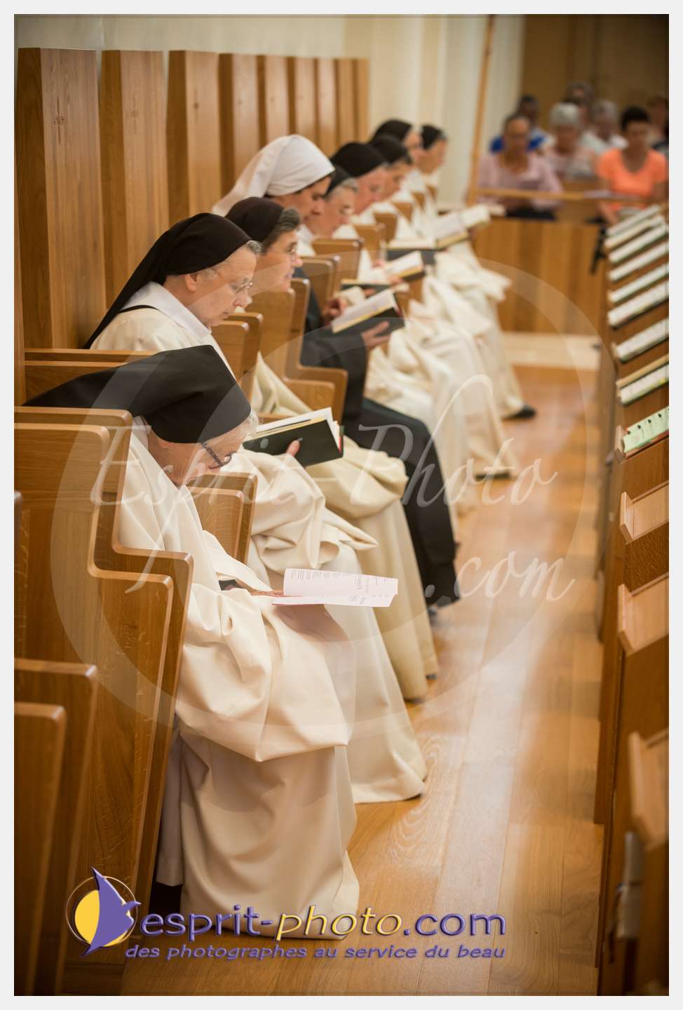 Nom de l'image : 108_D8e140693_c_PhotoGraphiePro — Description :  D8e140693