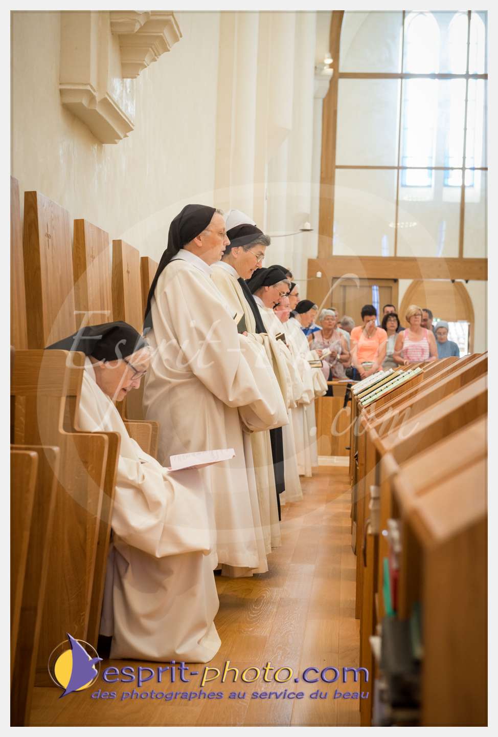 Nom de l'image : 110_D8e140705_c_PhotoGraphiePro — Description :  D8e140705