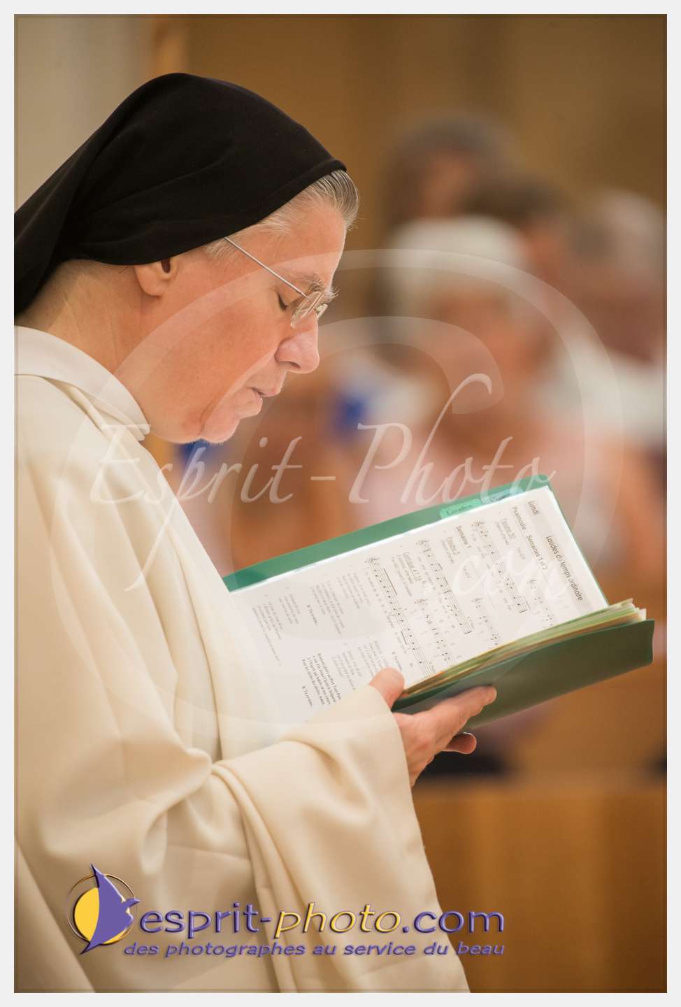 Nom de l'image : 114_D8e140711_c_PhotoGraphiePro — Description :  D8e140711